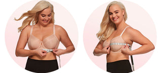 Paramour by Felina Dahlia 4-Section Unlined Bra color - sugar baby