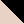 Black Cameo Rose