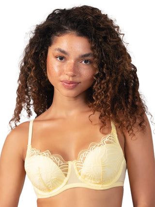 Yellow Lace bra. 